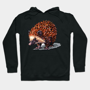 16-Bit Porcupine Hoodie